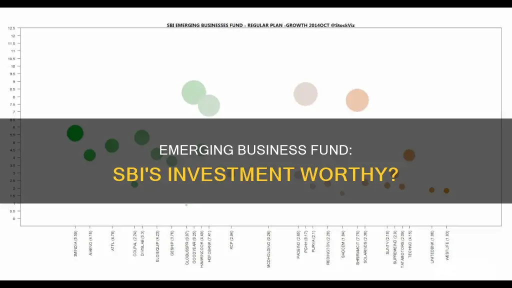 should I invest in sbi emerging business fund