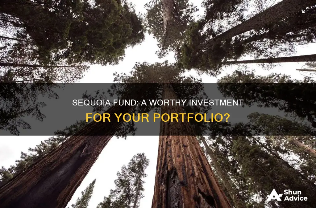 should I invest in sequoia fund