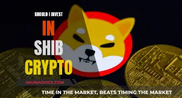 Shiba Inu Crypto: Worth Investing or Just a Meme?