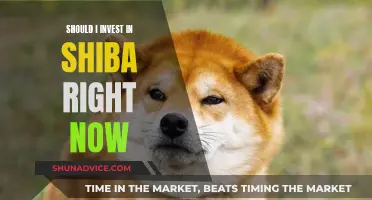 Shiba Inu: Invest or Avoid?