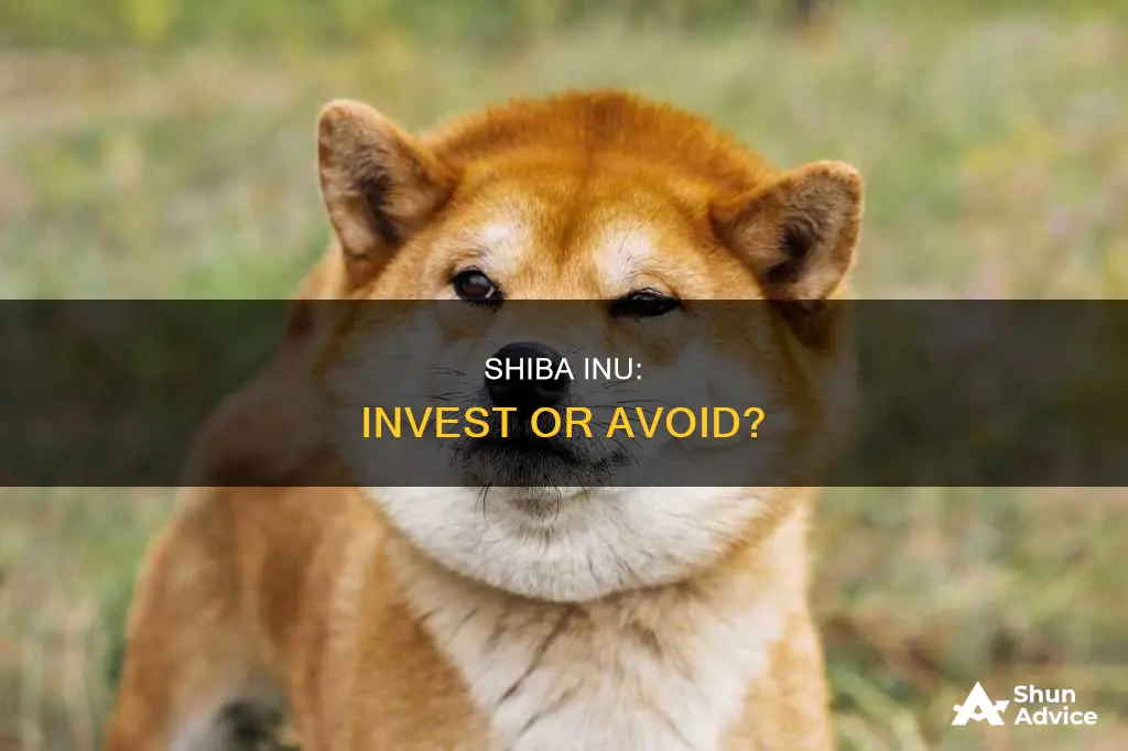 should I invest in shiba right now