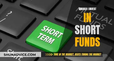 Short Funds: Worth the Investment Risk?