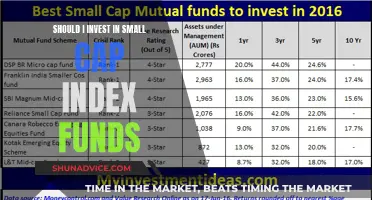 Small-Cap Index Funds: Smart Investment or Risky Move?