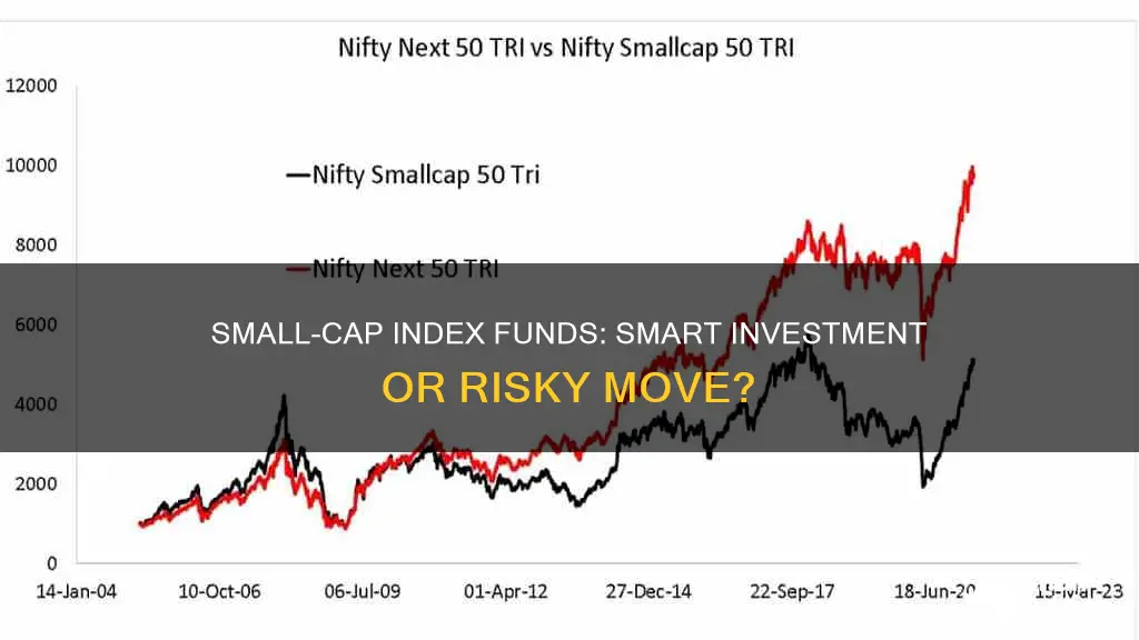 should I invest in small cap index funds