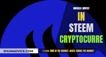 Steem Cryptocurrency: Worthy Investment or Risky Business?