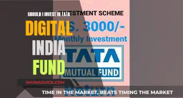 Tata Digital India Fund: Is It Worth Investing In?