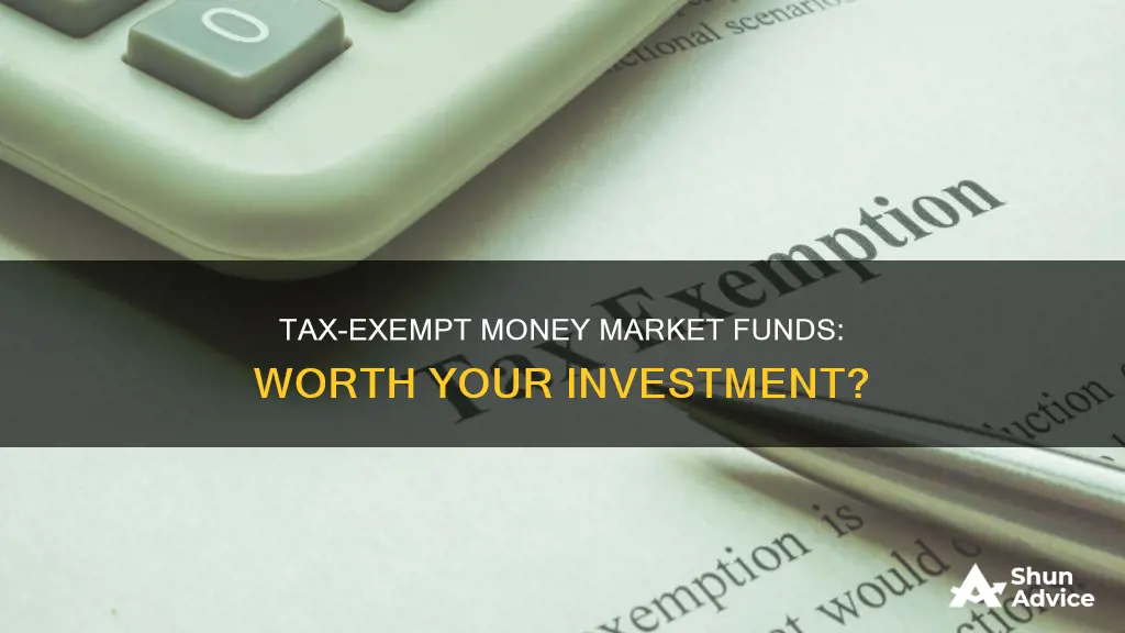 should I invest in tax exempt money market fund