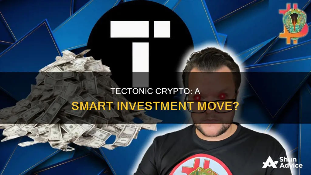 should I invest in tectonic crypto