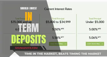 Unlocking the Benefits: Should You Invest in Term Deposits?