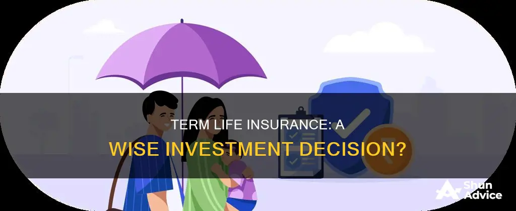 should I invest in term life insurance