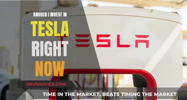 Tesla Stock: Buy or Bye?