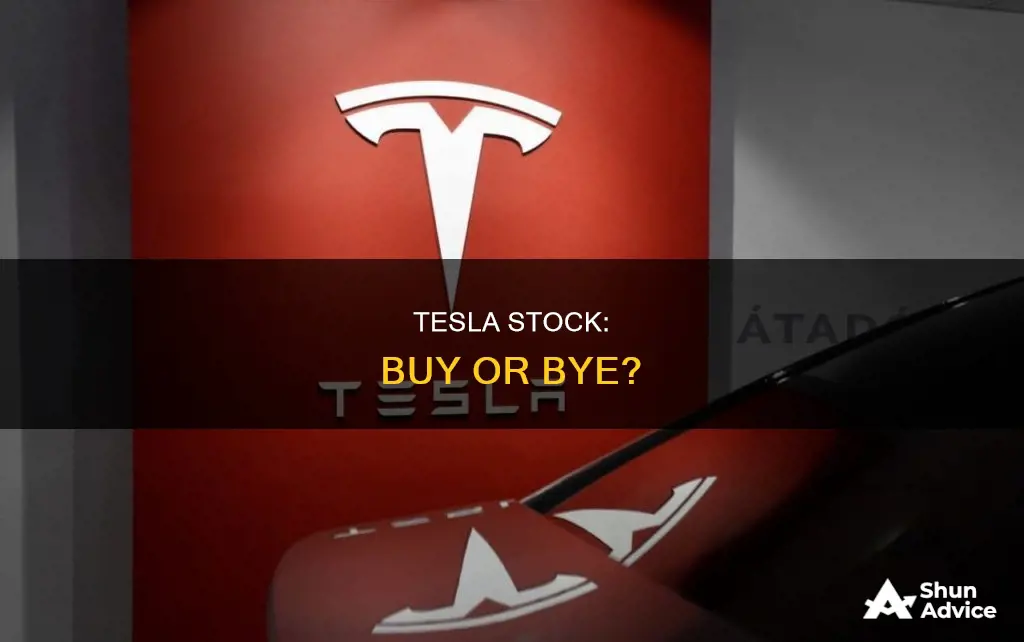 should I invest in tesla right now