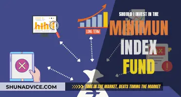 Index Fund Investment: Is the Minimum Enough?