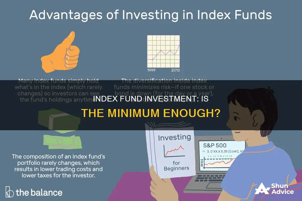 should I invest in the minimun index fund