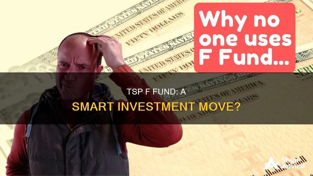 should I invest in the tsp f fund