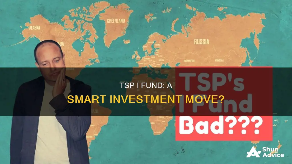 should I invest in the tsp I fund