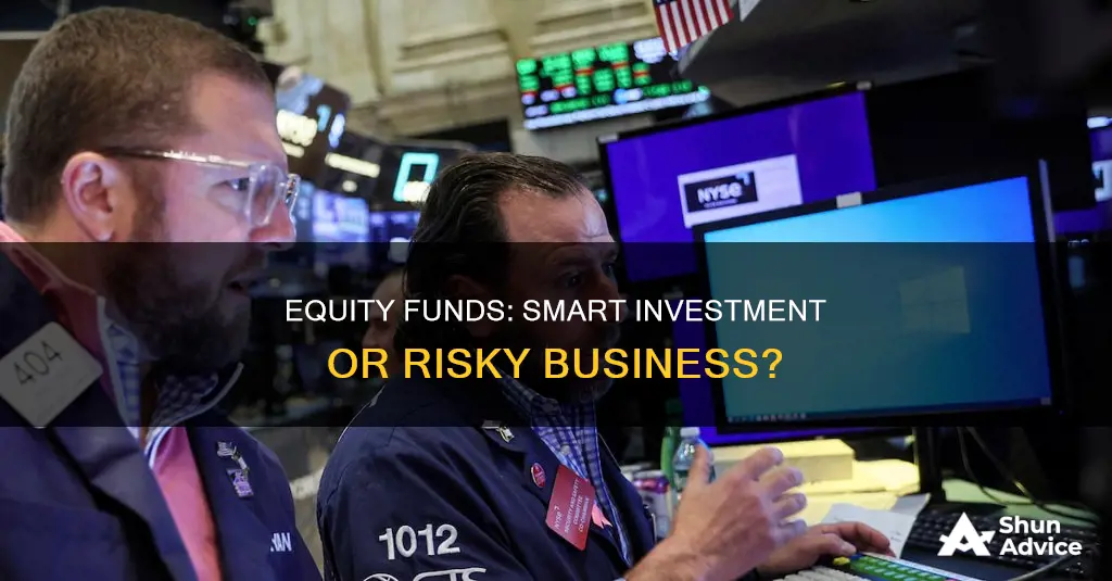 should I invest in us equity funds