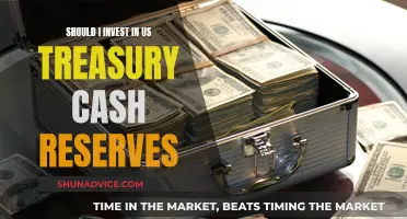 US Treasury Cash Reserves: Worthy Investment Option?