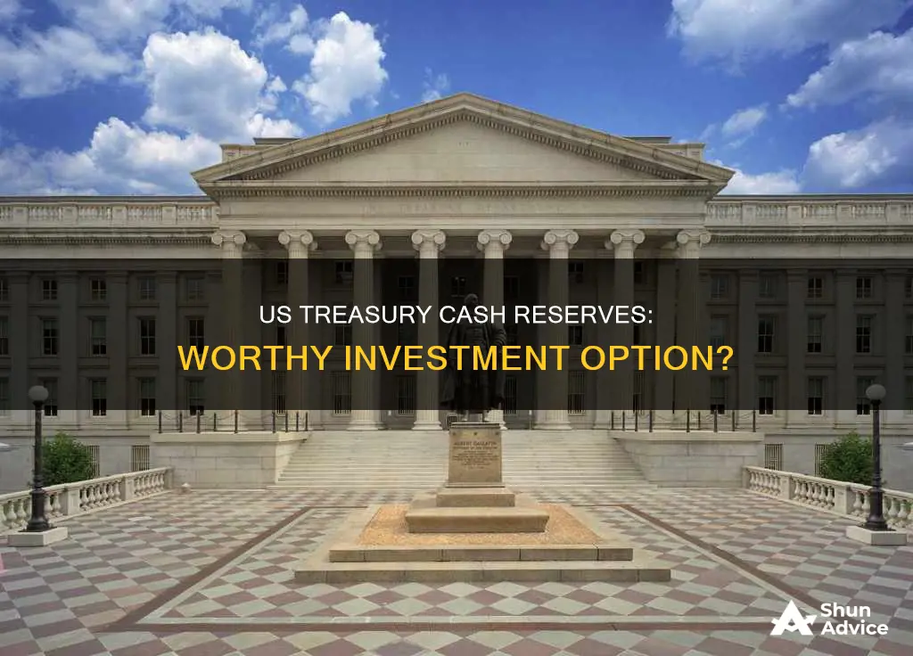 should I invest in us treasury cash reserves