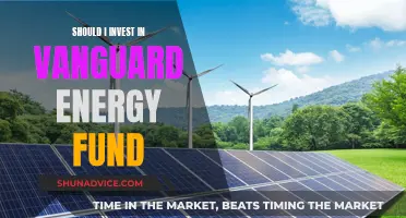 Vanguard Energy Fund: A Smart Investment Strategy?