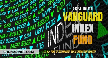 Vanguard Index Fund: Smart Investment or Risky Business?