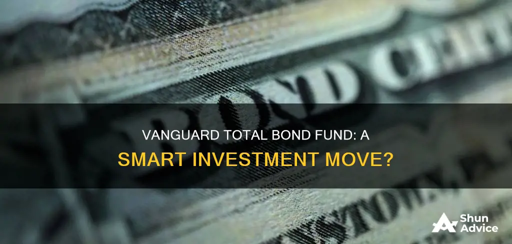 should I invest in vanguard total bond fund