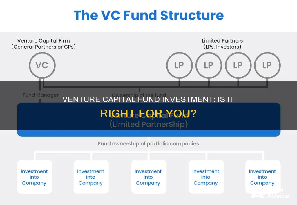 should I invest in venture capital fund