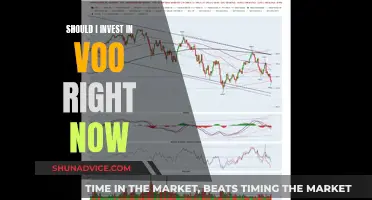 VOO: Invest Now or Later?