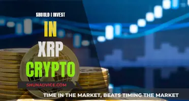 XRP Crypto: Smart Investment or Risky Gamble?