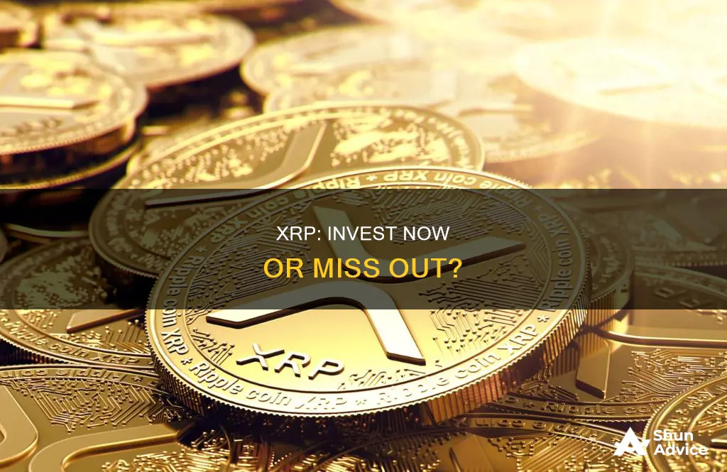 should I invest in xrp right now