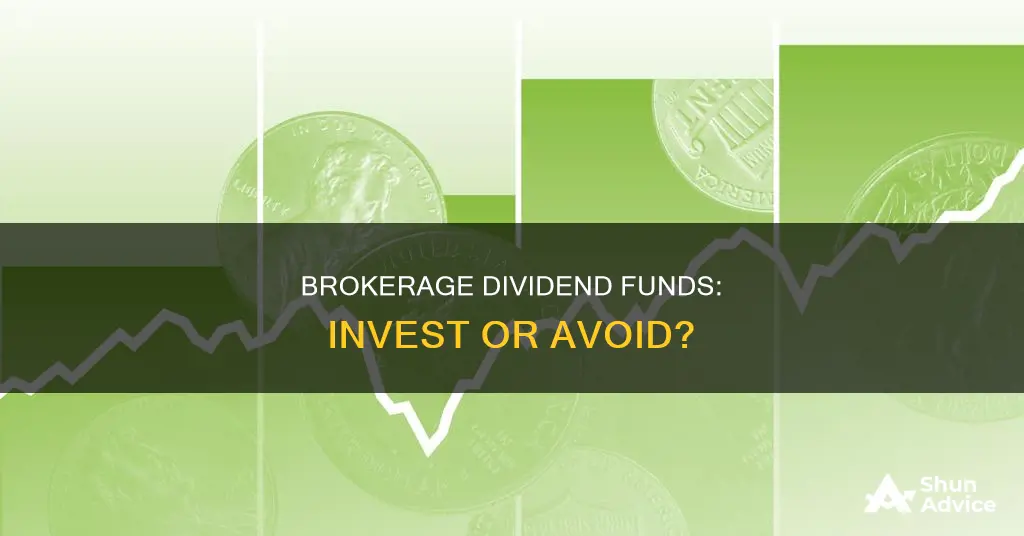 should I invest lower dividend funds in my brokerage