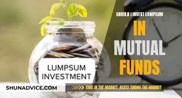 Lumpsum Mutual Fund Investment: Is It Worth the Risk?