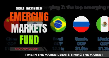 Emerging Markets: Worth Your Investment?