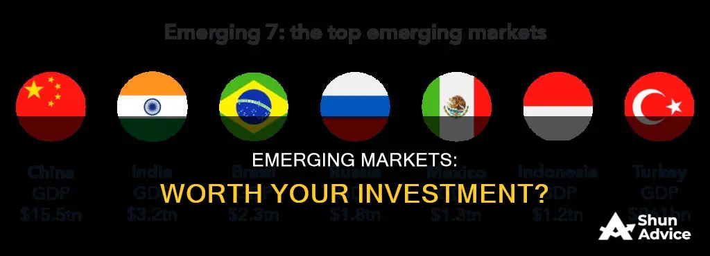 should I invest more in emerging markets fund