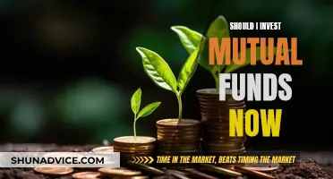 Mutual Funds: Invest Now or Miss Out?