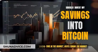 Bitcoin Investment: Is It Worth the Risk?