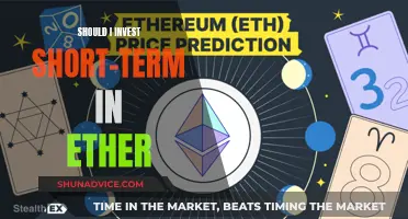 Ether's Volatility: Short-Term Investment Strategy or Long-Term Risk?