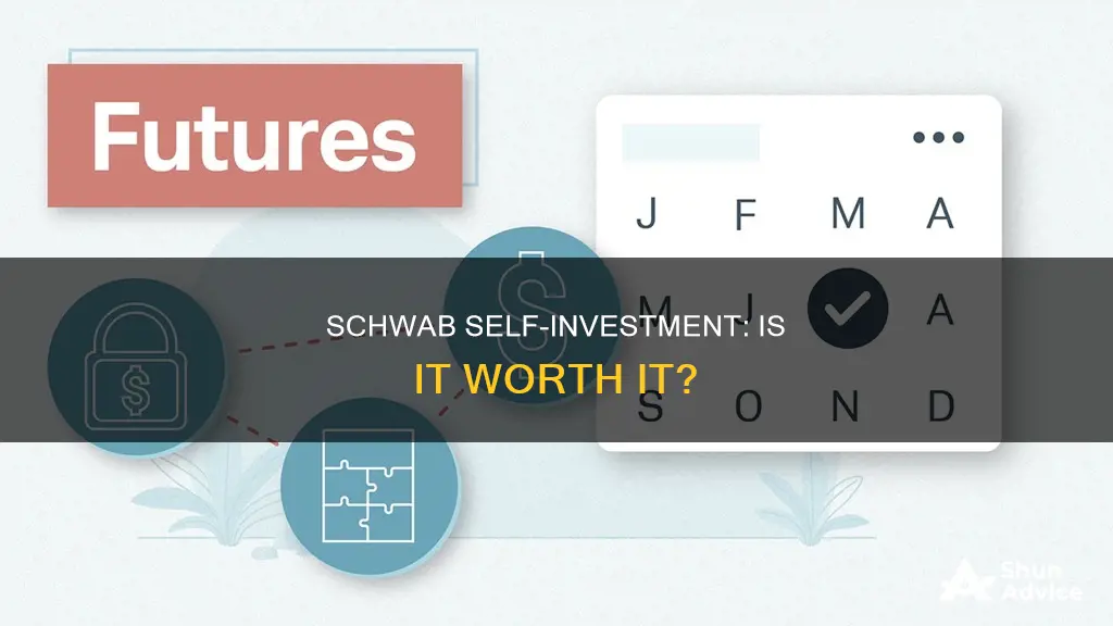 should I invest using charles schwab by myself