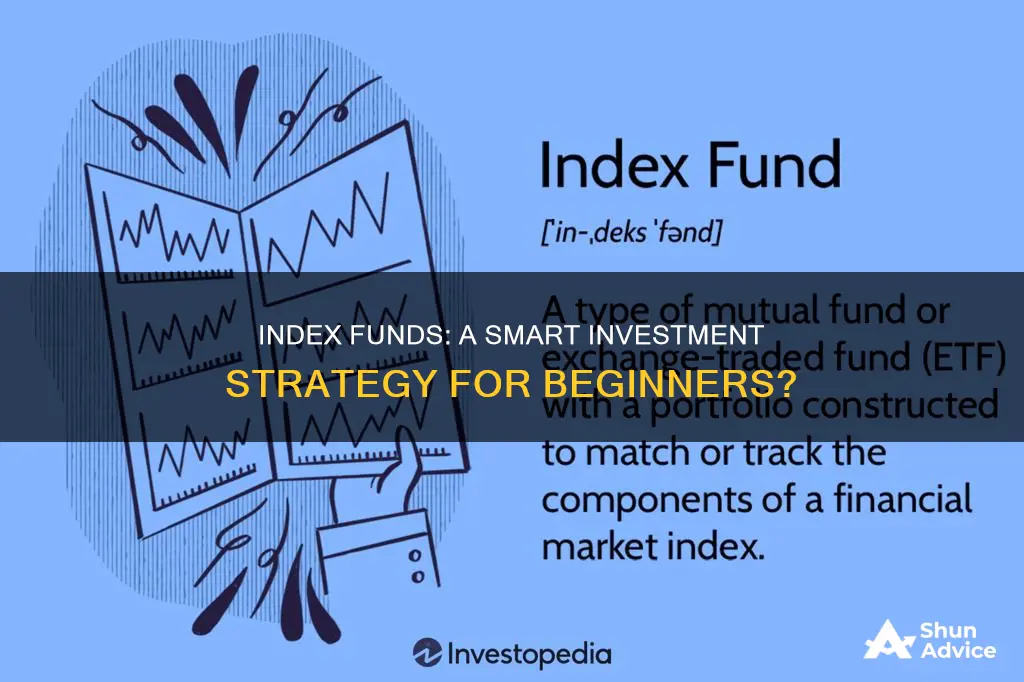 should I start index funds investment