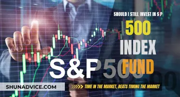 Why S&P 500 Index Funds are Still Worthwhile Investments