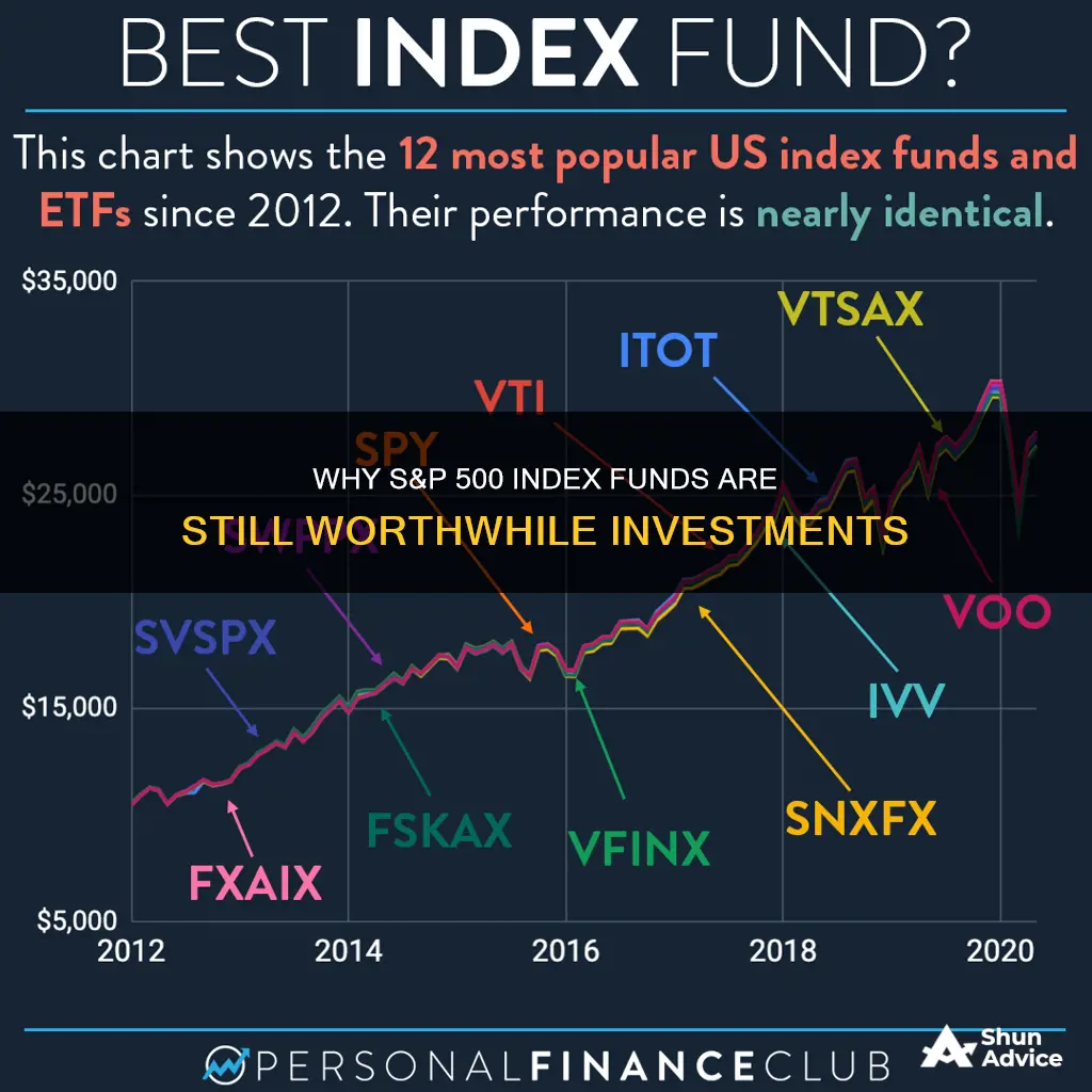 should I still invest in s p 500 index fund