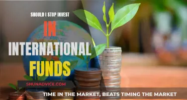 International Funds: Worth the Investment Risk?