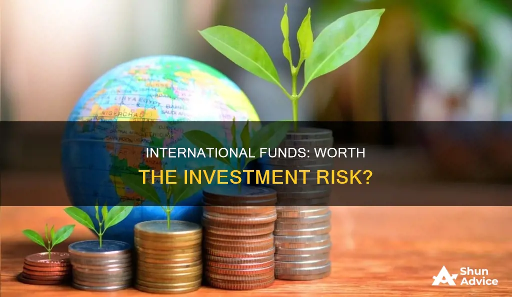 should I stop invest in international funds