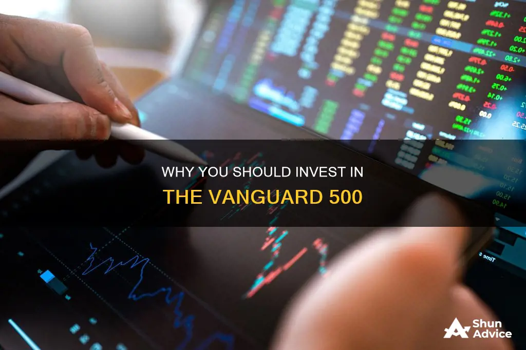 should I use investor or just invest vanguard 500