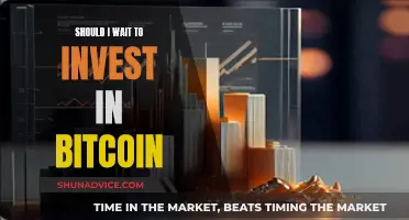 Bitcoin Investment: Timing the Market or Time in the Market?