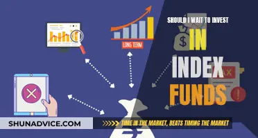 Index Funds: When to Invest and Why Waiting Isn't Wise