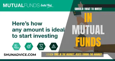 Mutual Funds: Invest Now or Later?