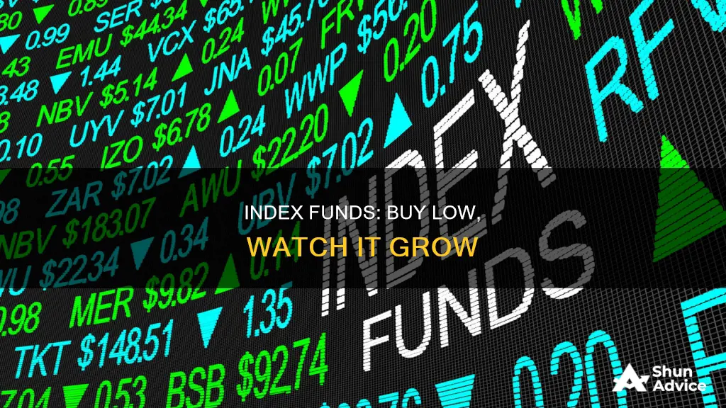 should I want to invest in index fund while low