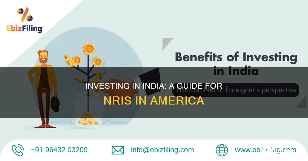 should indians living in america invest in india