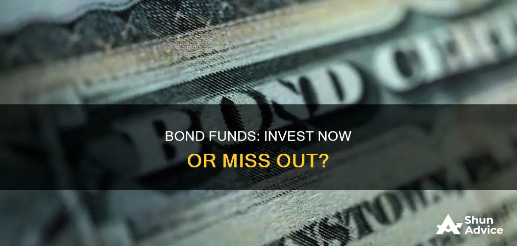 should invest in bond funds now